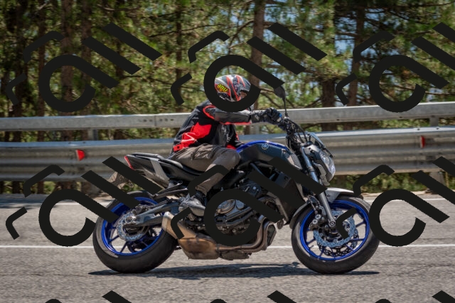 202508091404-DSC_3271_c4_