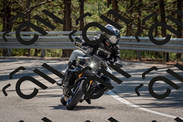 202508091406-DSC_3278_c4_