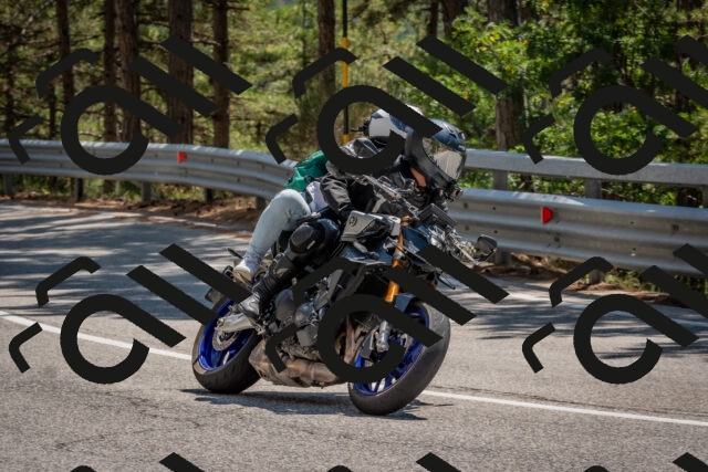 202508091406-DSC_3279_c4_