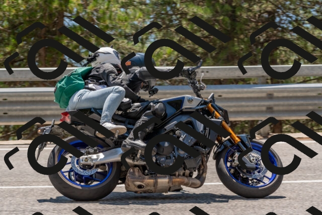 202508091406-DSC_3281_c4_