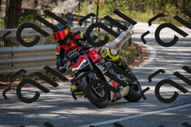 202508091406-DSC_3283_c4_