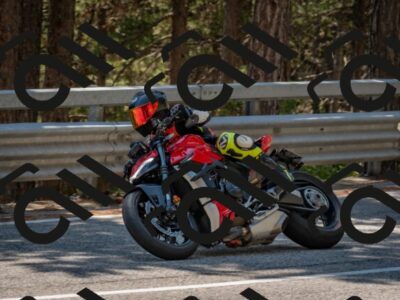 202508091406-DSC_3284_c4_