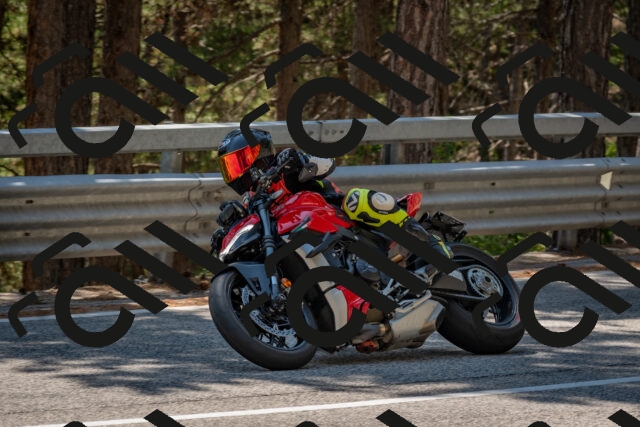 202508091406-DSC_3284_c4_