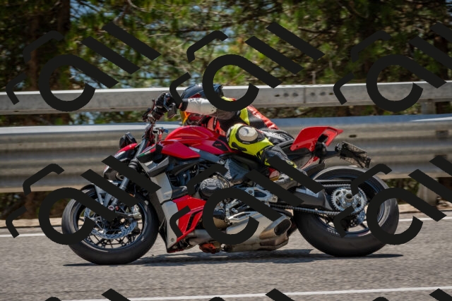 202508091406-DSC_3285_c4_