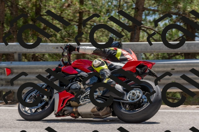 202508091406-DSC_3286_c4_