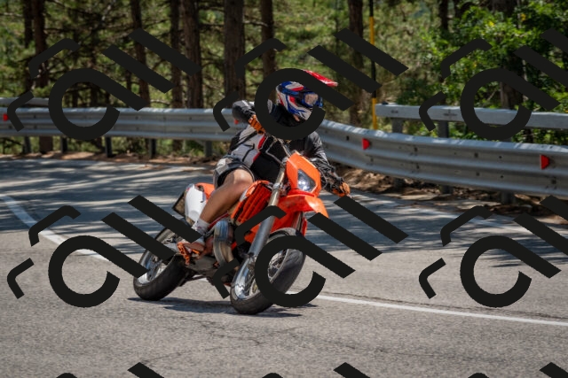 202508091406-DSC_3287_c4_