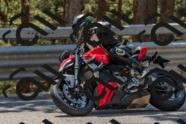 202508091406-DSC_3290_c4_