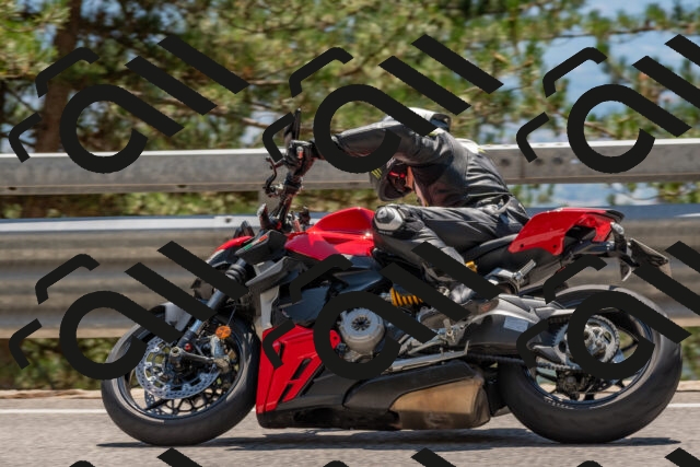 202508091406-DSC_3291_c4_