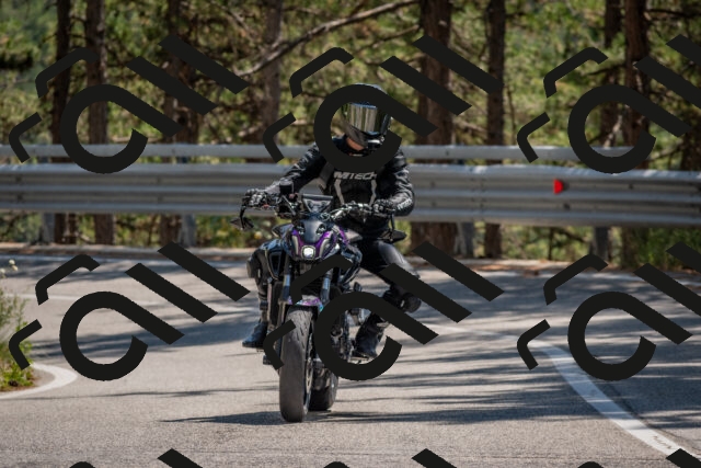 202508091406-DSC_3293_c4_