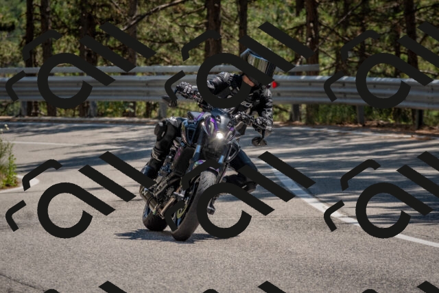 202508091406-DSC_3294_c4_