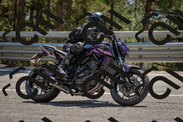 202508091406-DSC_3296_c4_