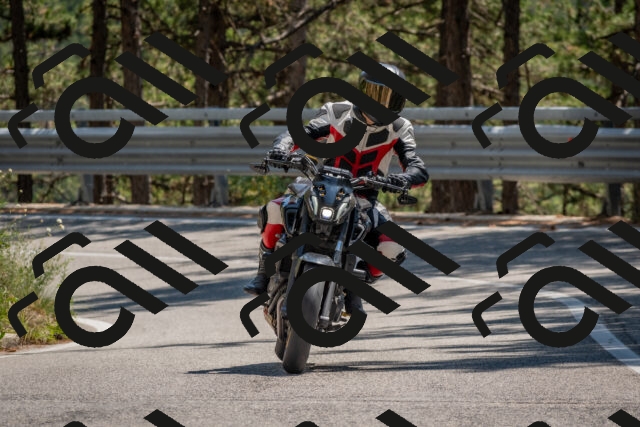 202508091406-DSC_3298_c4_