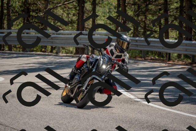 202508091406-DSC_3299_c4_