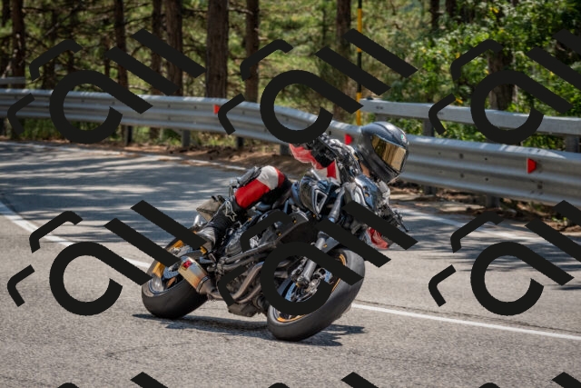 202508091406-DSC_3300_c4_