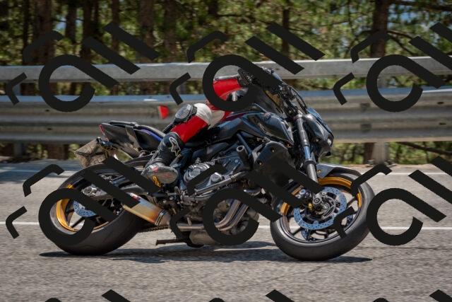 202508091406-DSC_3301_c4_