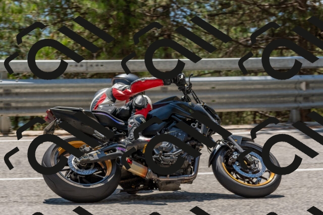 202508091406-DSC_3302_c4_