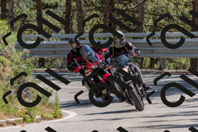 202508091407-DSC_3308_c4_