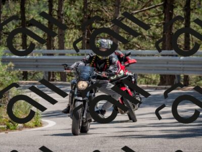 202508091407-DSC_3309_c4_