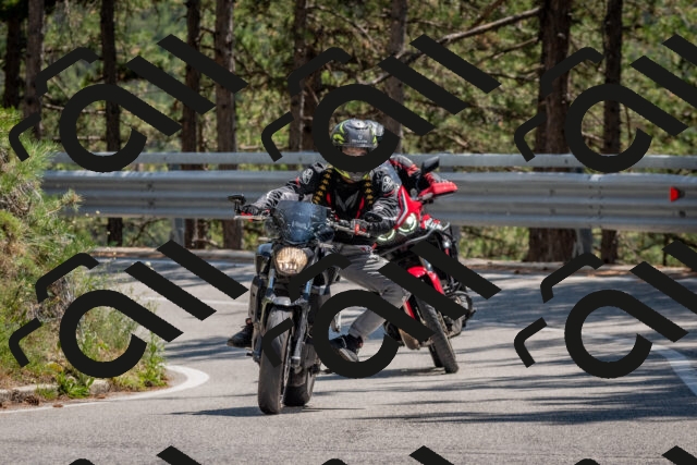 202508091407-DSC_3309_c4_