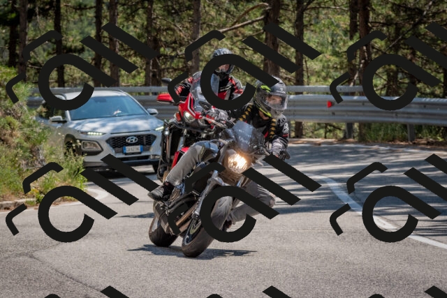 202508091407-DSC_3310_c4_