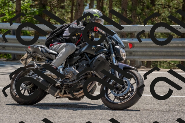 202508091407-DSC_3312_c4_