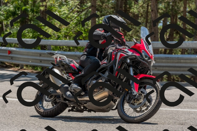 202508091407-DSC_3313_c4_