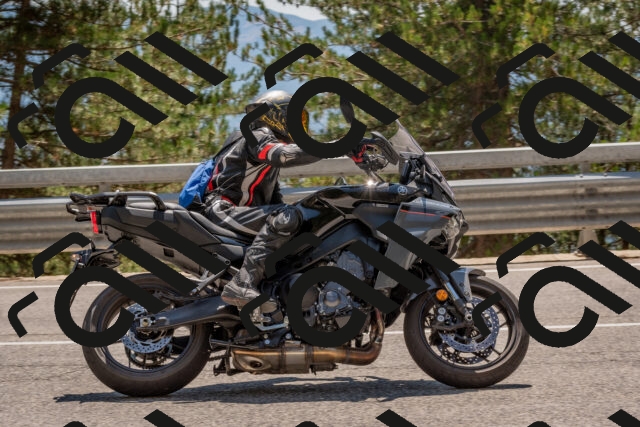 202508091407-DSC_3317_c4_