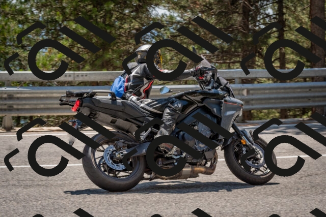 202508091407-DSC_3318_c4_