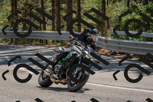 202508091407-DSC_3320_c4_