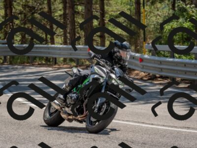 202508091407-DSC_3320_c4_