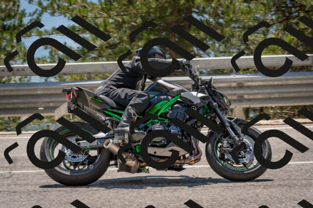 202508091407-DSC_3322_c4_