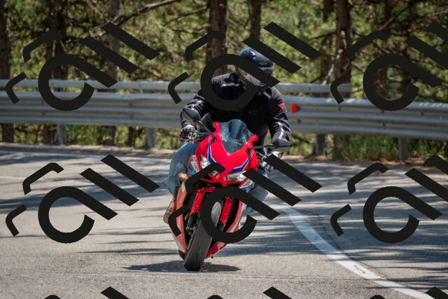 202508091407-DSC_3323_c4_