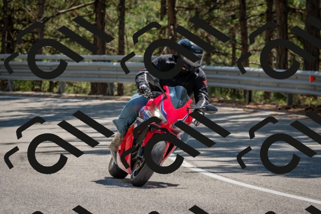 202508091407-DSC_3324_c4_