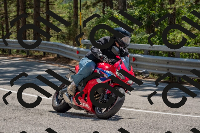 202508091407-DSC_3325_c4_