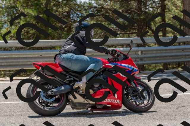 202508091407-DSC_3327_c4_