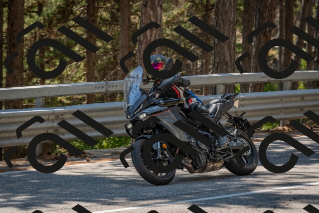 202508091409-DSC_3334_c4_