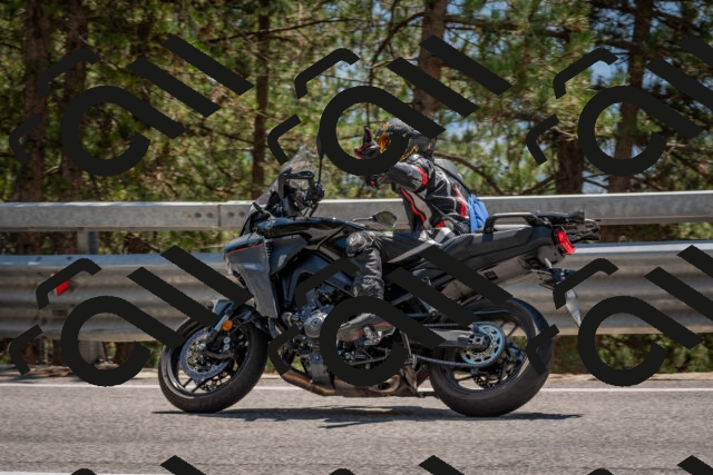 202508091409-DSC_3336_c4_