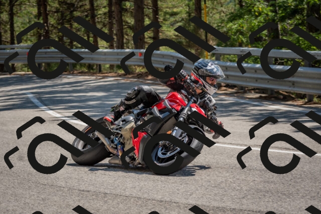 202508091409-DSC_3341_c4_