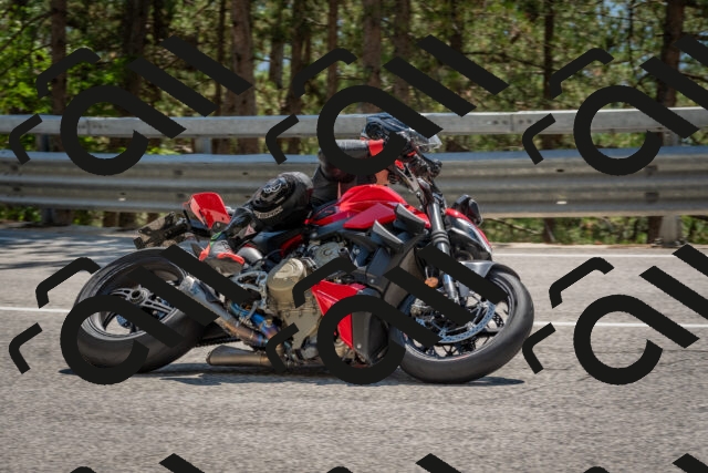 202508091409-DSC_3342_c4_