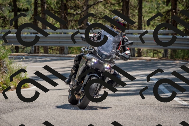 202508091410-DSC_3344_c4_