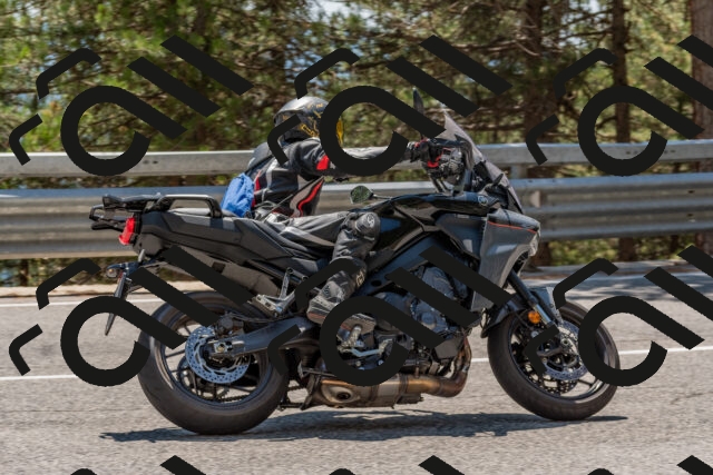 202508091410-DSC_3347_c4_