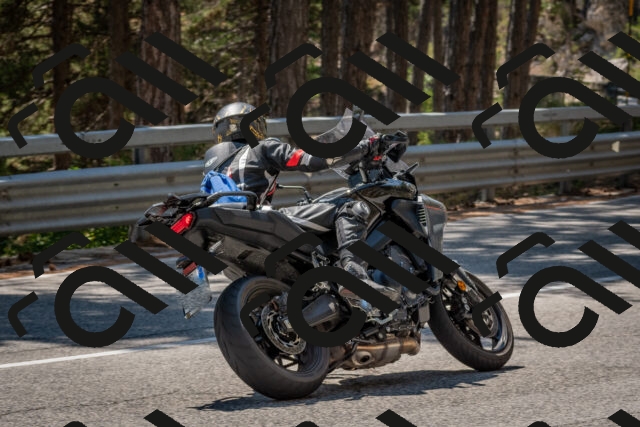 202508091410-DSC_3348_c4_