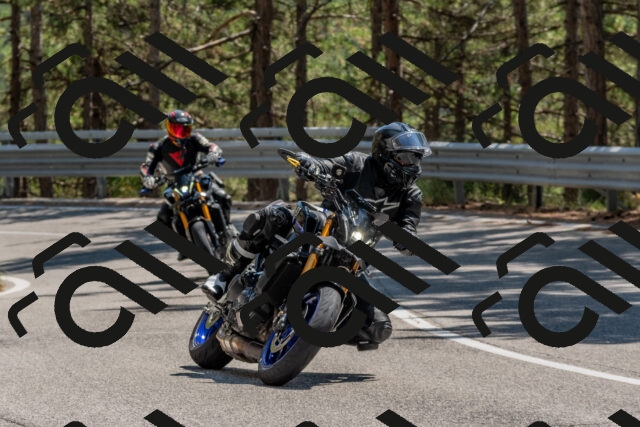 202508091410-DSC_3350_c4_