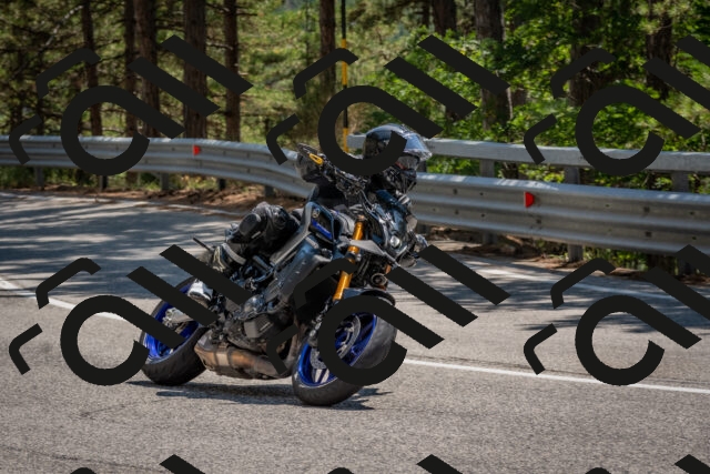 202508091410-DSC_3351_c4_