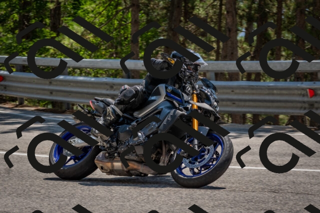 202508091410-DSC_3352_c4_