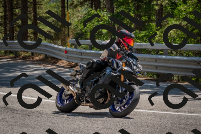 202508091410-DSC_3353_c4_