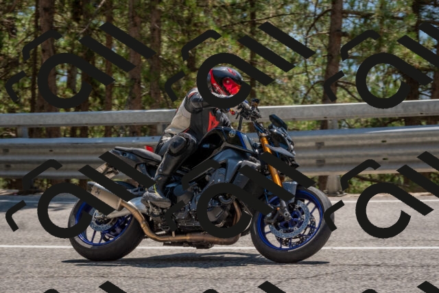 202508091410-DSC_3354_c4_