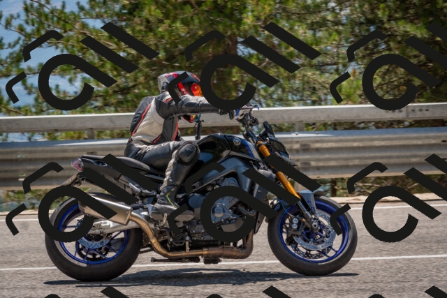 202508091411-DSC_3355_c4_