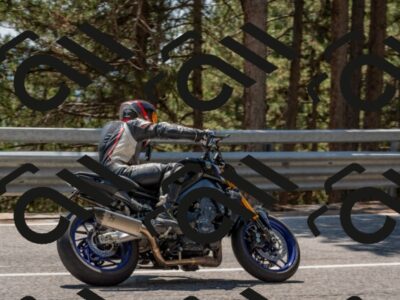 202508091411-DSC_3356_c4_