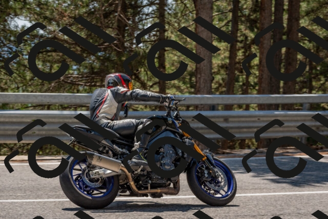 202508091411-DSC_3356_c4_